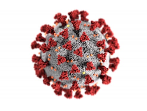 Novel coronavirus