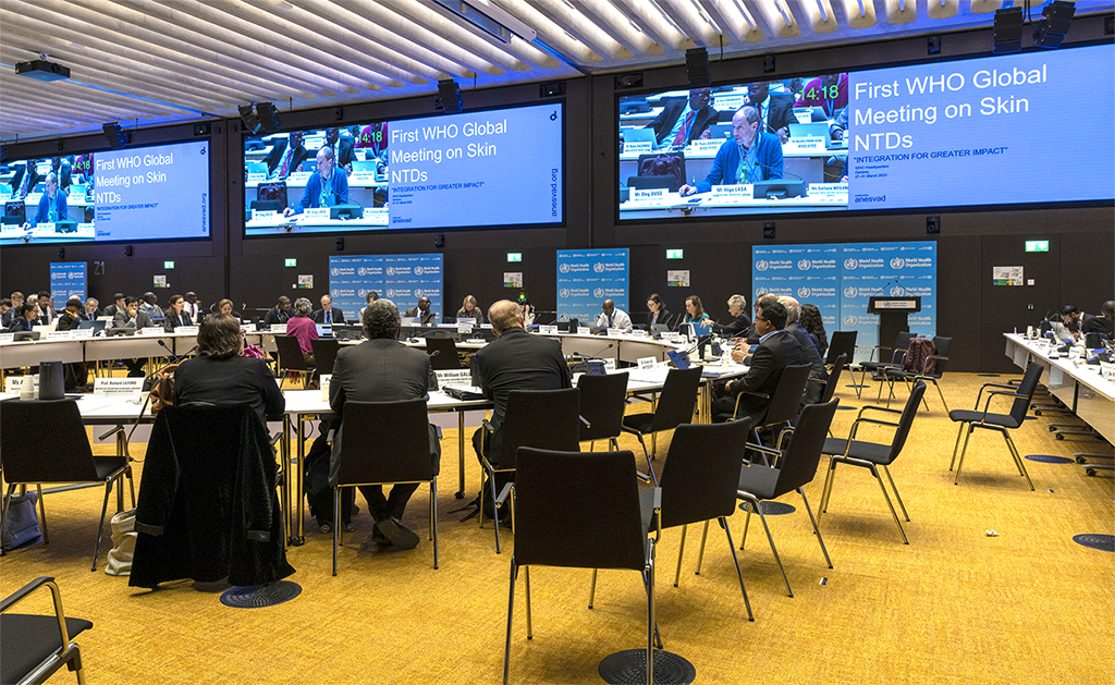Attendees of WHO first global meeting on skin-NTDs